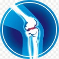 Dr. Kovács Tünde – Ortopéd Szakorvos logo